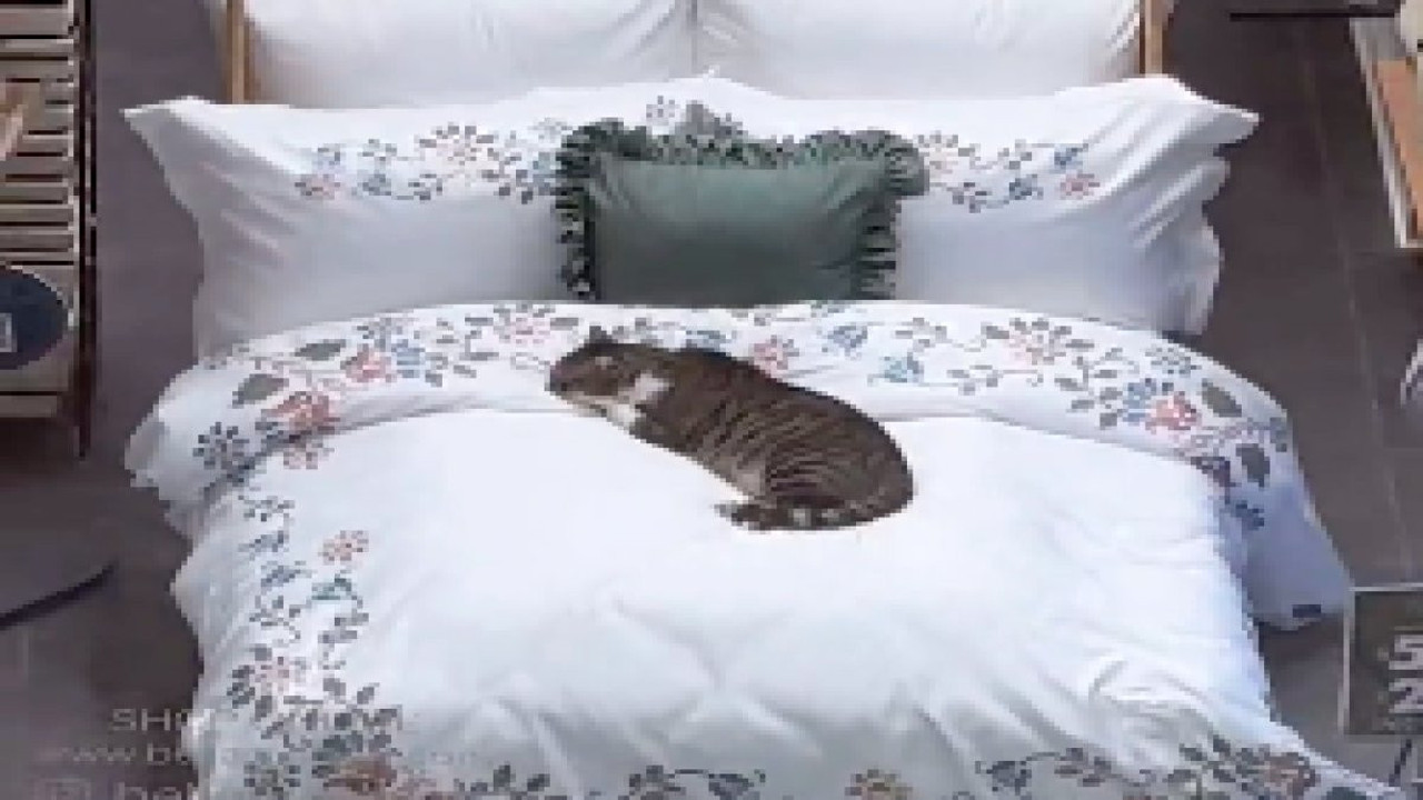 Bu görüntüyü sadece Türkiye'de görebilirsiniz