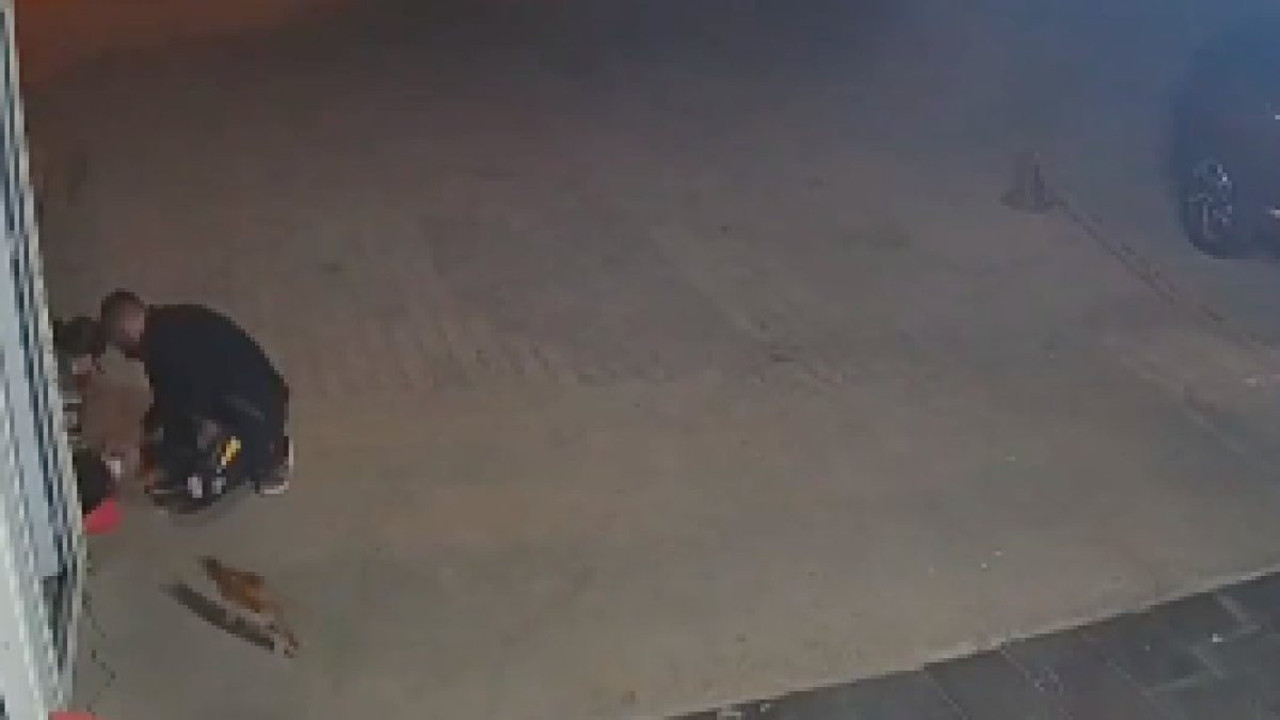 Diyarbakır'da yaralı bir sokak kedisi kendi başına hastanenin acil servisine gitti