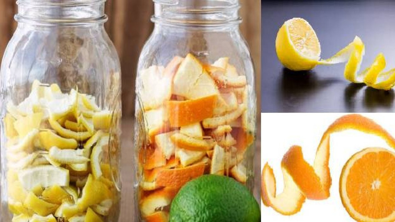 Bu ikilinin kabukları çok yararlı