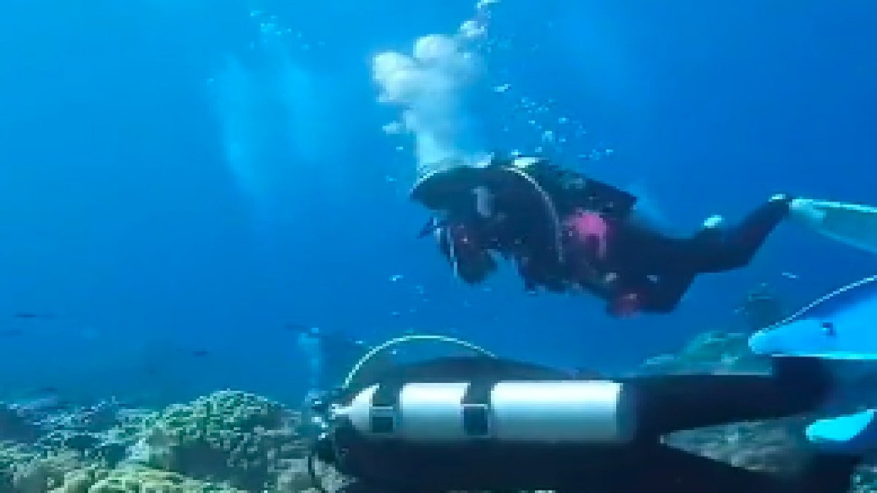 Depreme denizin altında yakalanan dalgıçlar