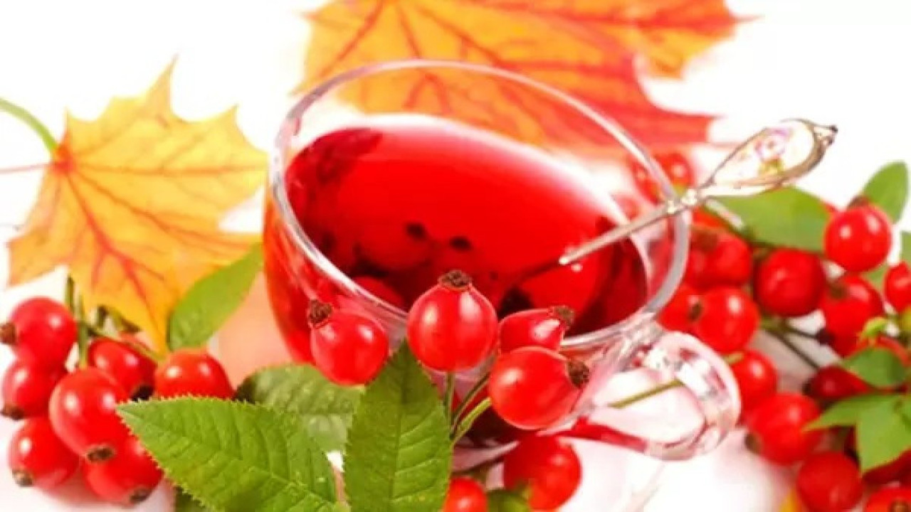 Kuşburnu adeta bir ilaç