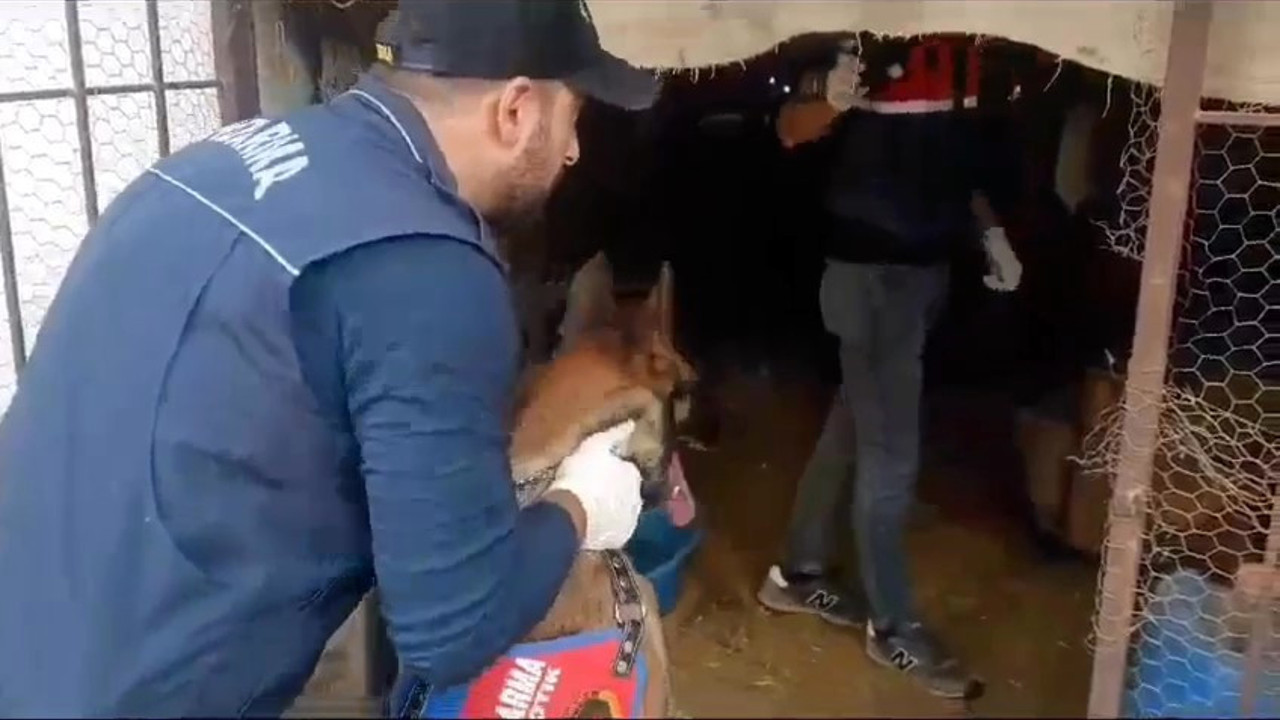 Jandarman 20 kilo uyuşturucuyla yakaladı