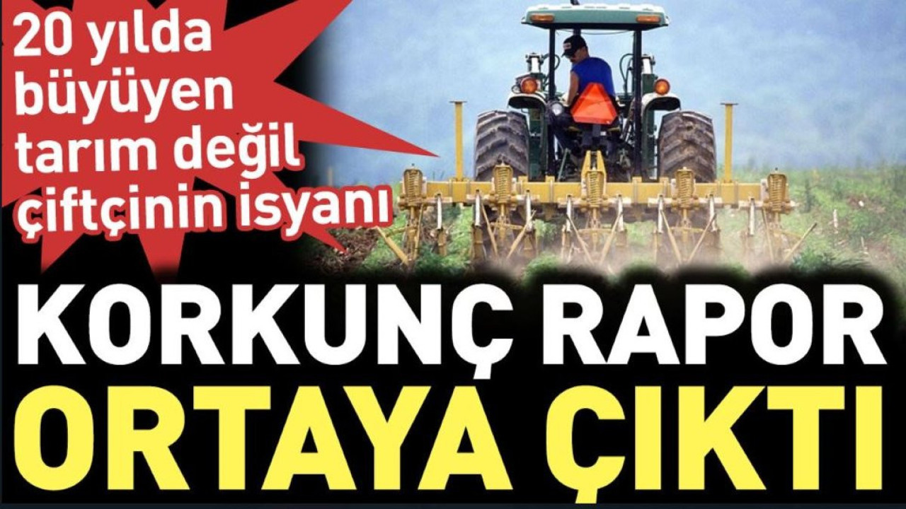 Korkunç rapor ortaya çıktı, 20 yılda büyüyen tarım değil, çiftçinin isyanı
