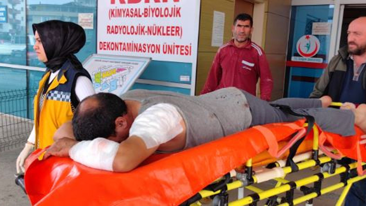 Kangal köpeği inşaat işçisini hastanelik etti