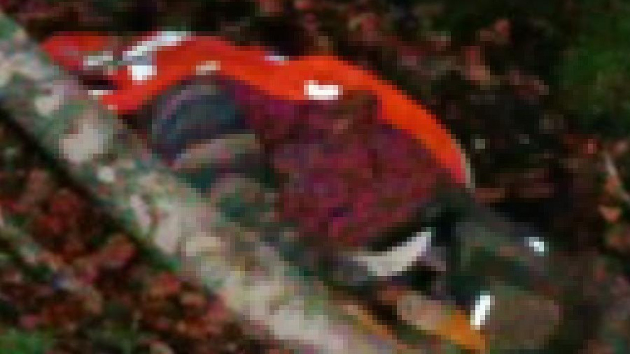 İşçi kestiği ağacın altında kaldı