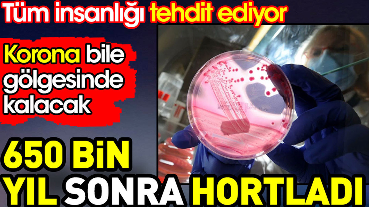 650 bin yıl sonra hortladı, insanlığı tehdit ediyor. Korona bile gölgesinde kalacak