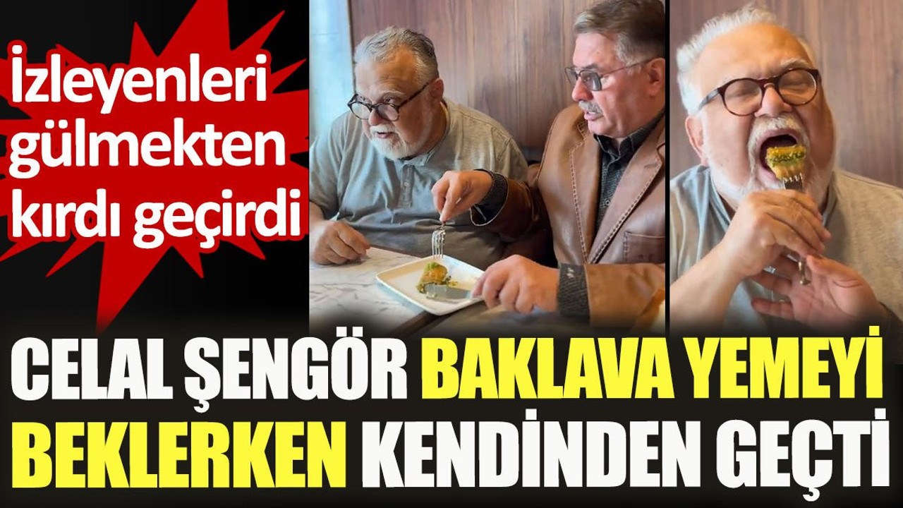 Celal Şengör'ün baklava yemeyi beklerken kendinden geçti