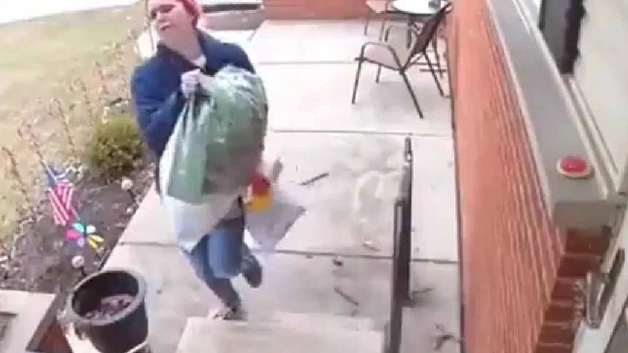 Sincap kendisini besleyen kadına kurabiye hediye etti