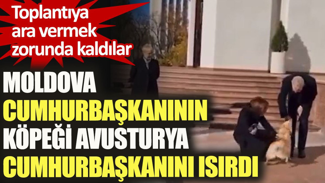 Moldova Cumhurbaşkanının köpeği Avusturya Cumhurbaşkanını ısırdı