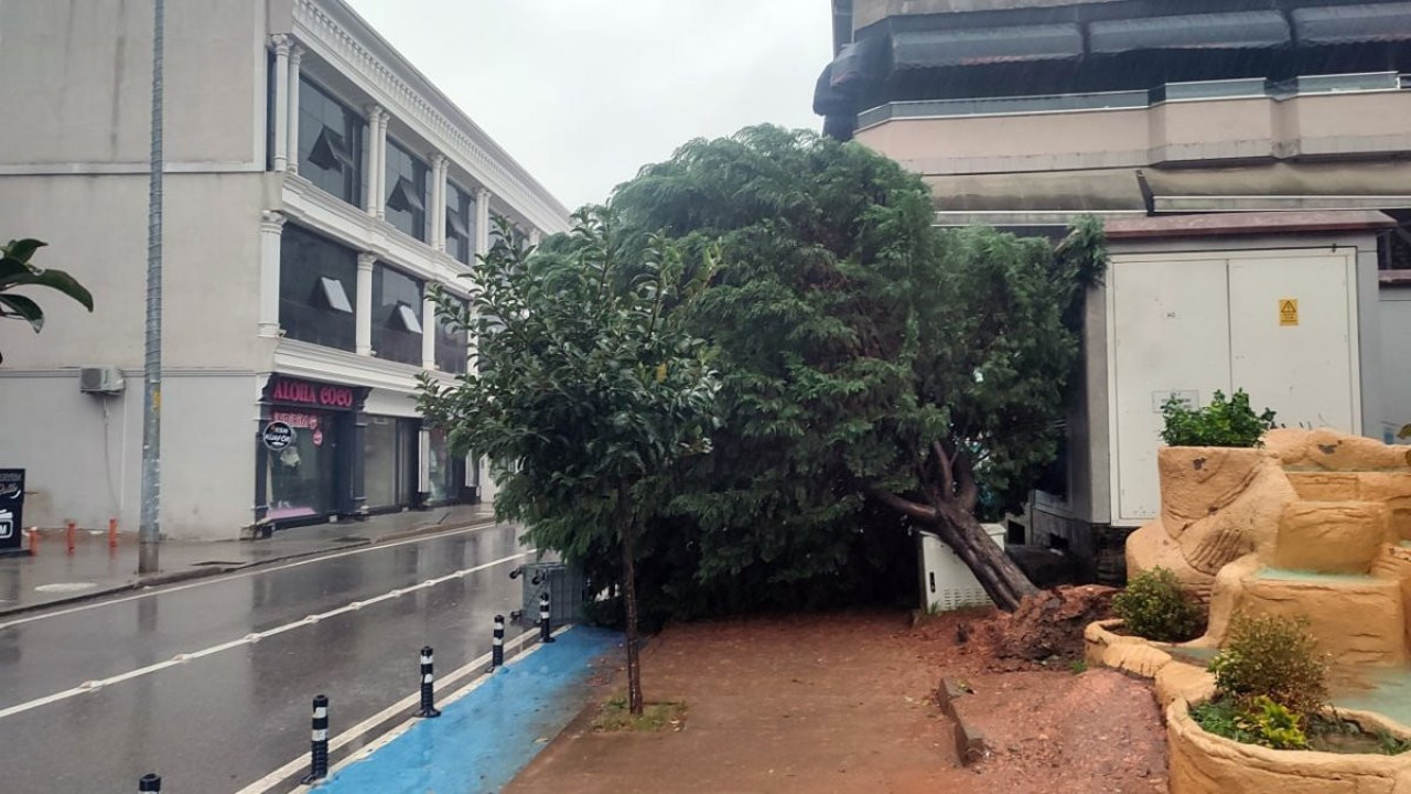 Sakarya’daki fırtınada ağaç otomobilin üzerine devrildi