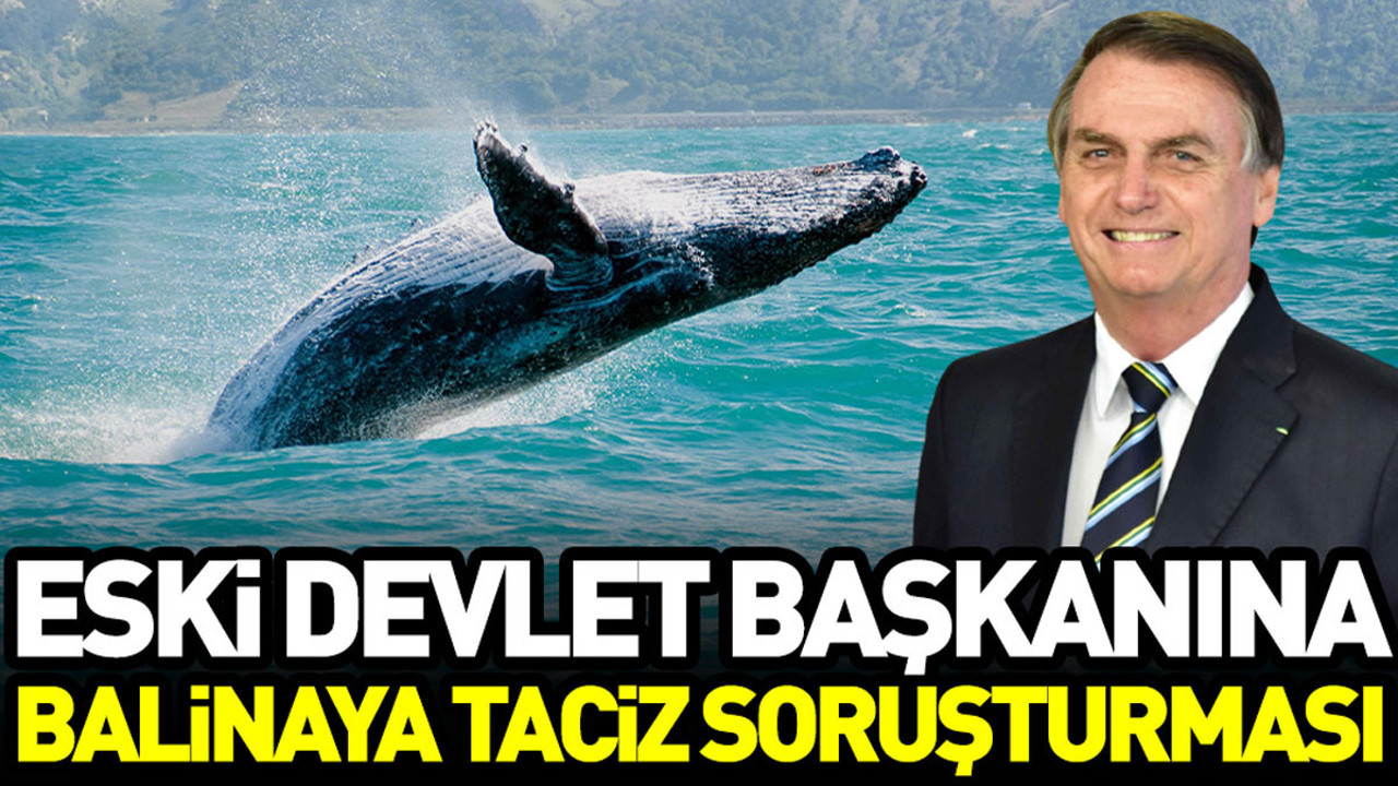 Eski devlet başkanına balinaya taciz soruşturması