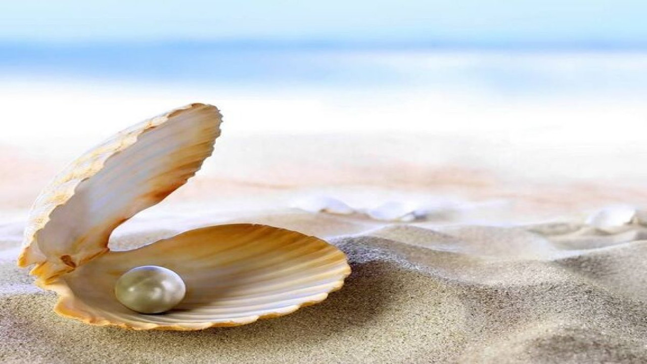 İstiridyeler nasıl inci yapar?