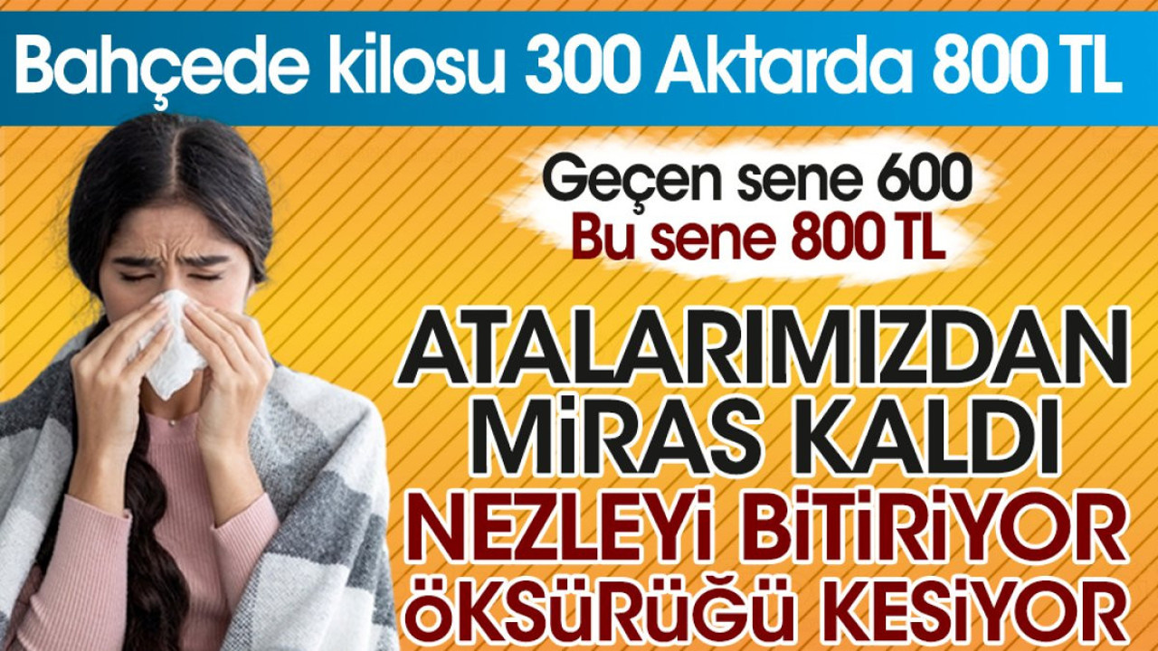 Atalarımızdan miras kaldı. Nezleyi bitiriyor öksürüğü kesiyor. Bahçede kilosu 300 aktarda 800 TL. Geçen sene 600 bu sene 800 TL