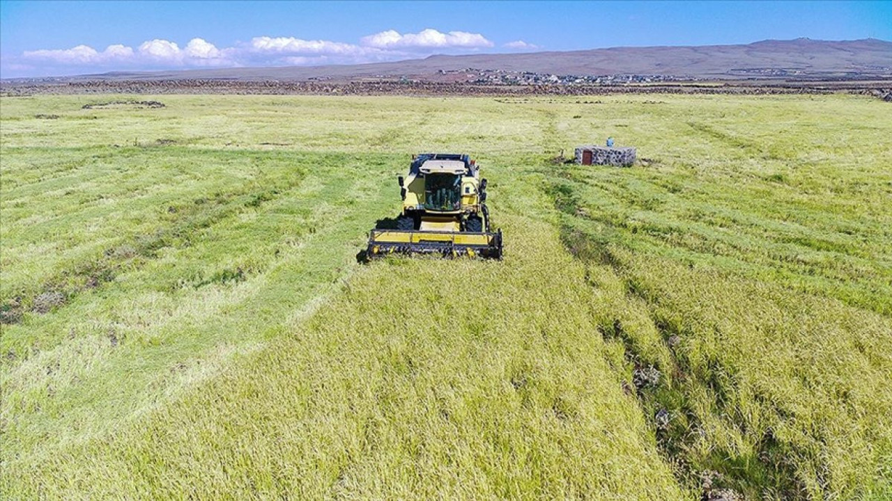 Tarım sektöründe hedef 50 milyar dolara çıkmak