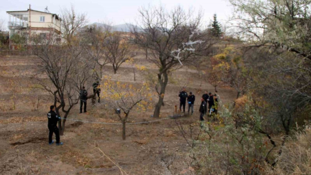 Köpek gezdiren vatandaşlar fark etti. Ağaca asılı halde bulundu