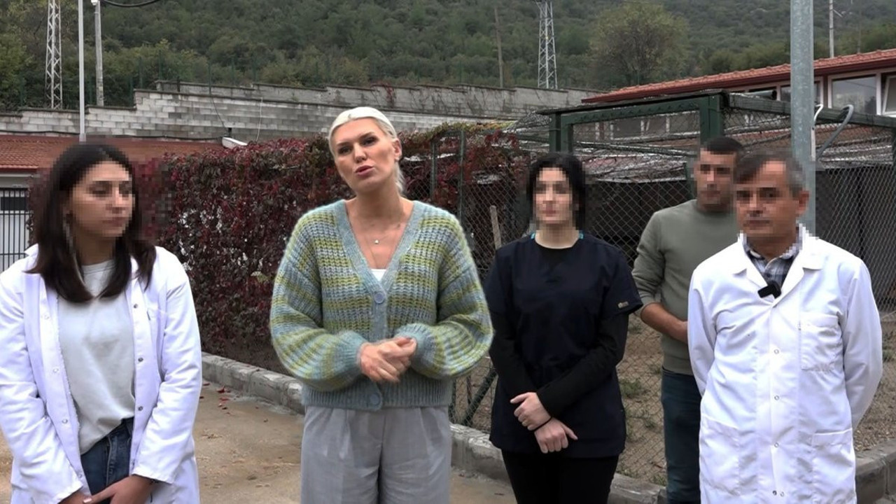 Bilecik'te 14 köpeğin ölü bulunmasına 4 gözaltı