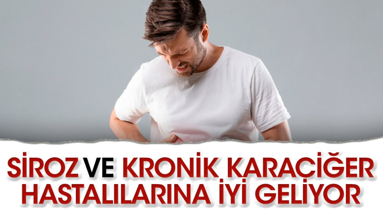 Siroz ve kronik karaciğer hastalılarına iyi geliyor. İşte o ot