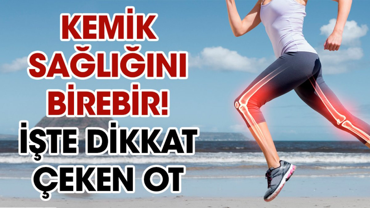 Kemik sağlığını birebir. İşte dikkat çeken ot