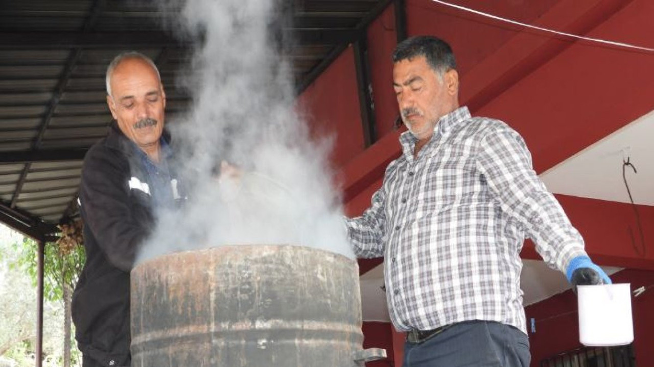 Saç dökülmesini durduruyor mikropları anında öldürüyor. Kilosu 300 TL'den satılıyor.