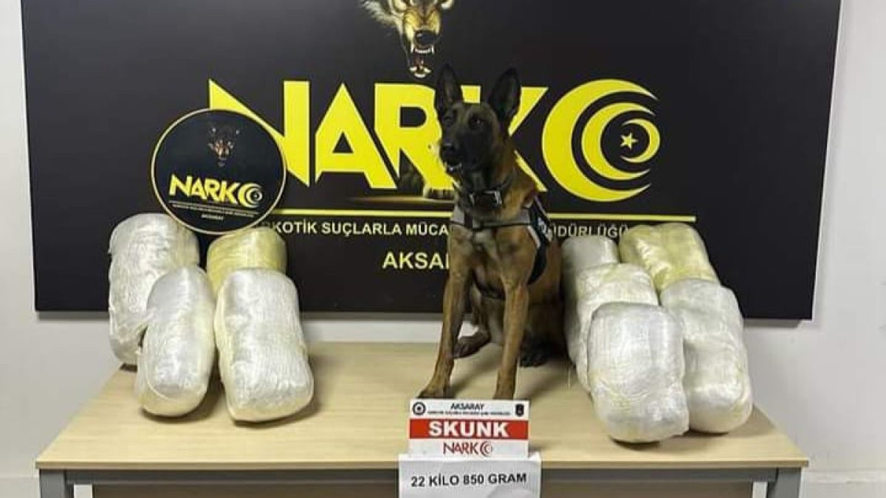 Salatalık kasalarına gizlenmiş uyuşturucuyu 'Bixi' buldu