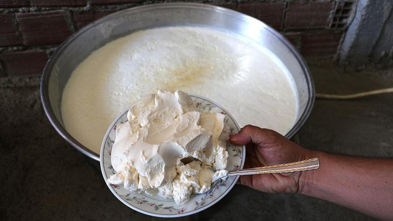 Yanık yoğurt ne işe yarar