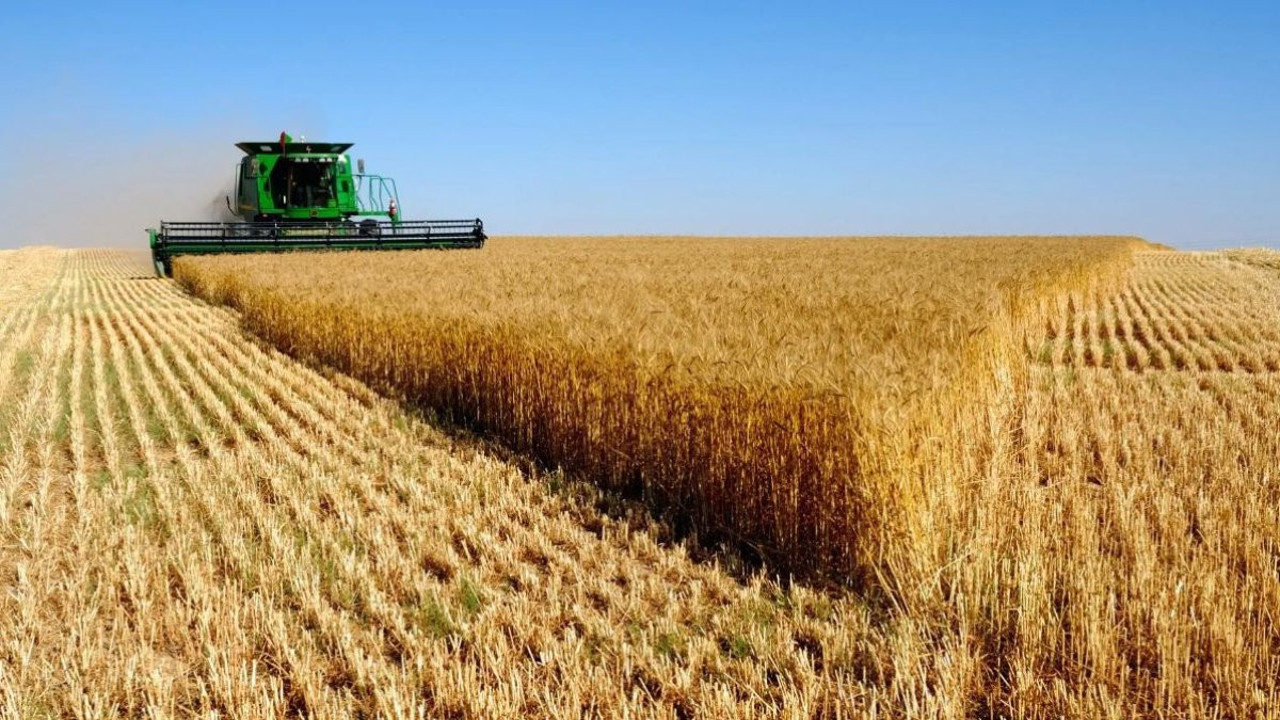 Çiftçilere ödenecek desteğin miktarı açıklandı. Resmi Gazete’de yayınlandı.