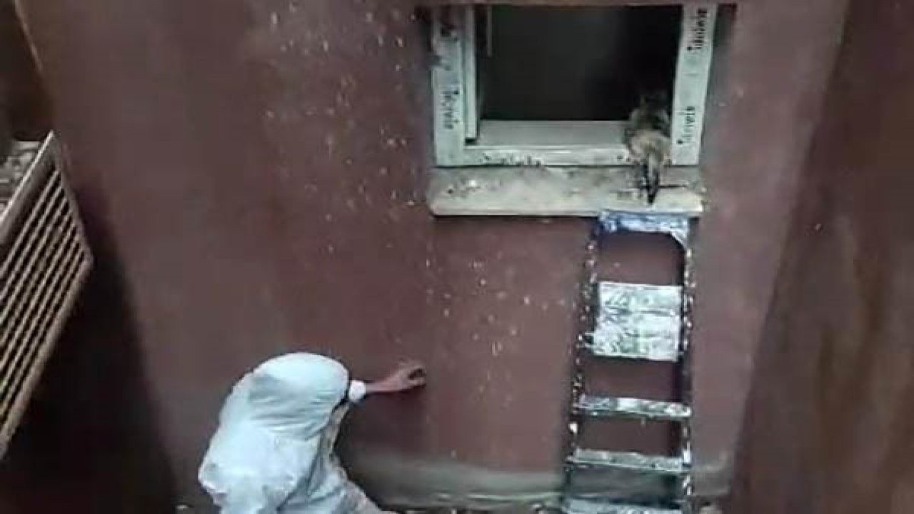 Havalandırma boşluğuna düşen kedi kurtarıldı (26 Kasım 2023)