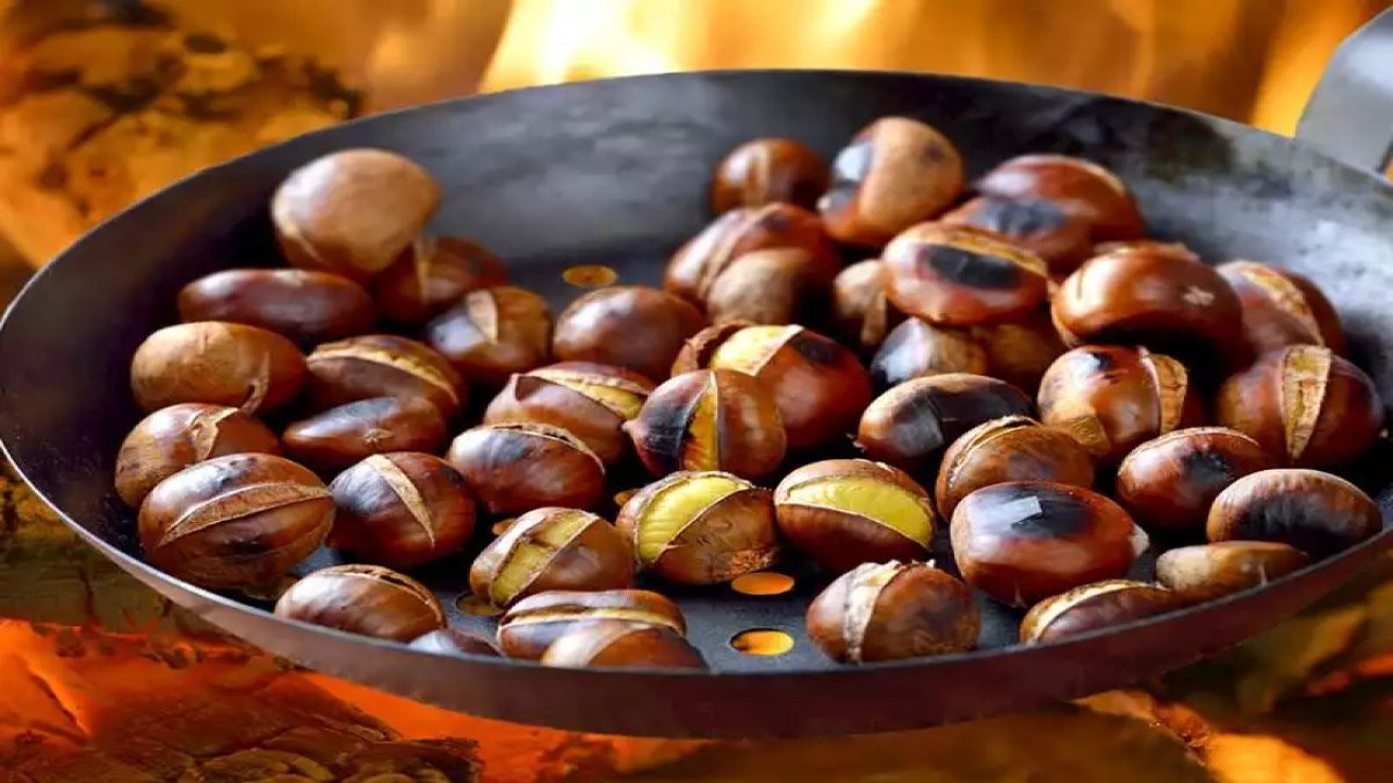 Kestane hamilelikte yararlı mı