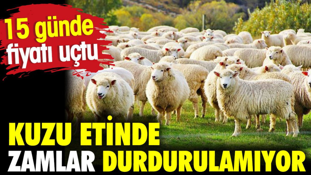 Kuzu etinde zamlar durdurulamıyor. 15 günde fiyatı uçtu