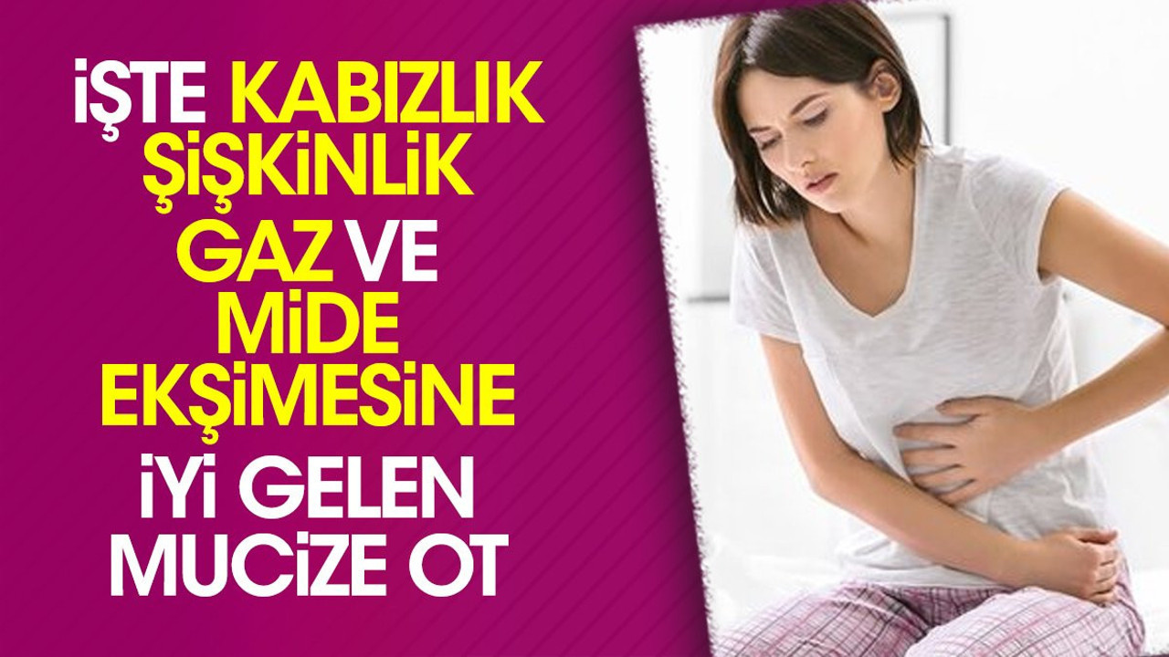 İşte kabızlık şişkinlik gaz ve mide ekşimesine iyi gelen mucize ot
