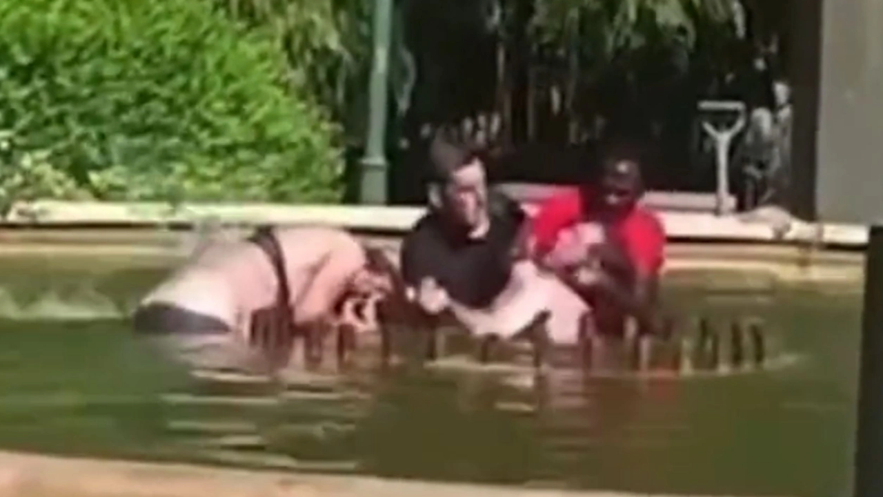 Karısını süs havuzunda boğan adama meydan dayağı. Tekme tokat müdahale