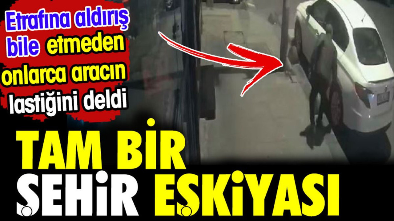 Tam bir şehir eşkiyası. Etrafına aldırış bile etmeden onlarca aracın lastiğini deldi