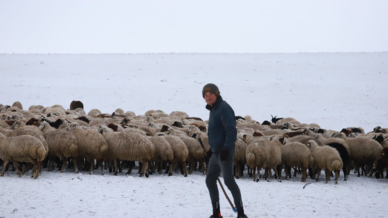 Merada kar yağışına yakalanan besiciler zor anlar yaşadı