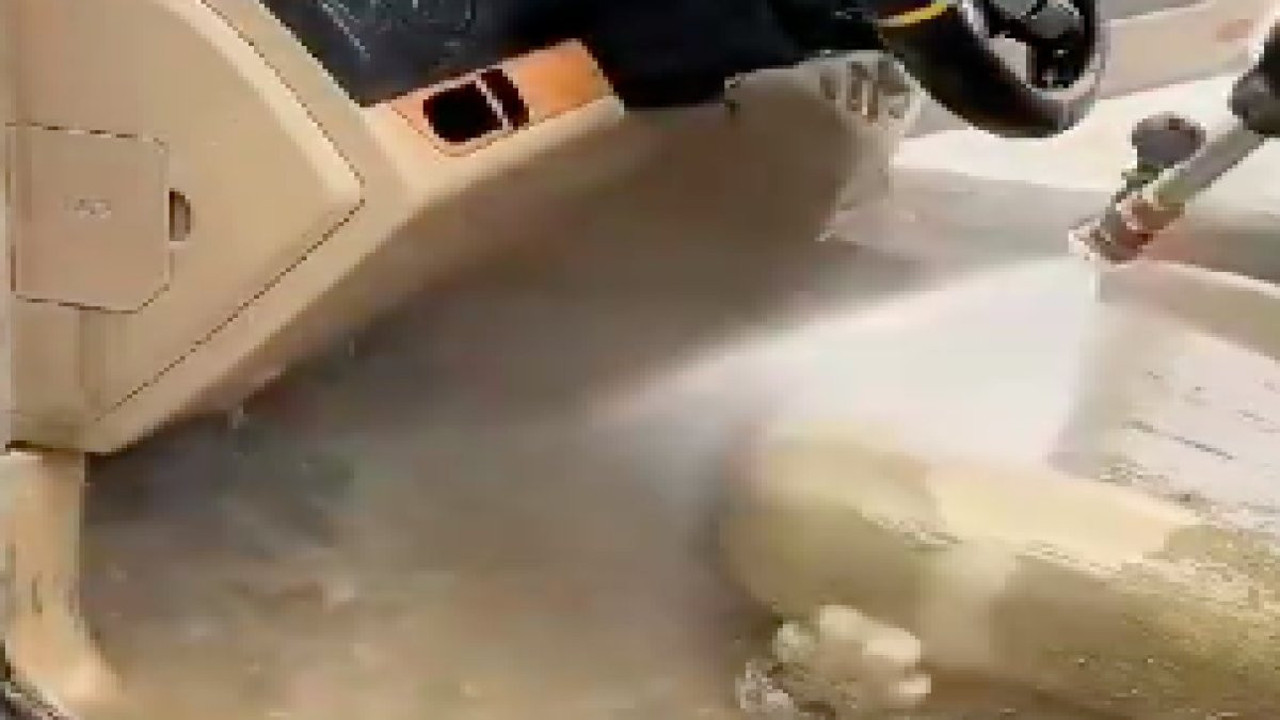 Gündemden uzaklaşıp zihninizi boşaltmak istiyorsanız buyurun videoya