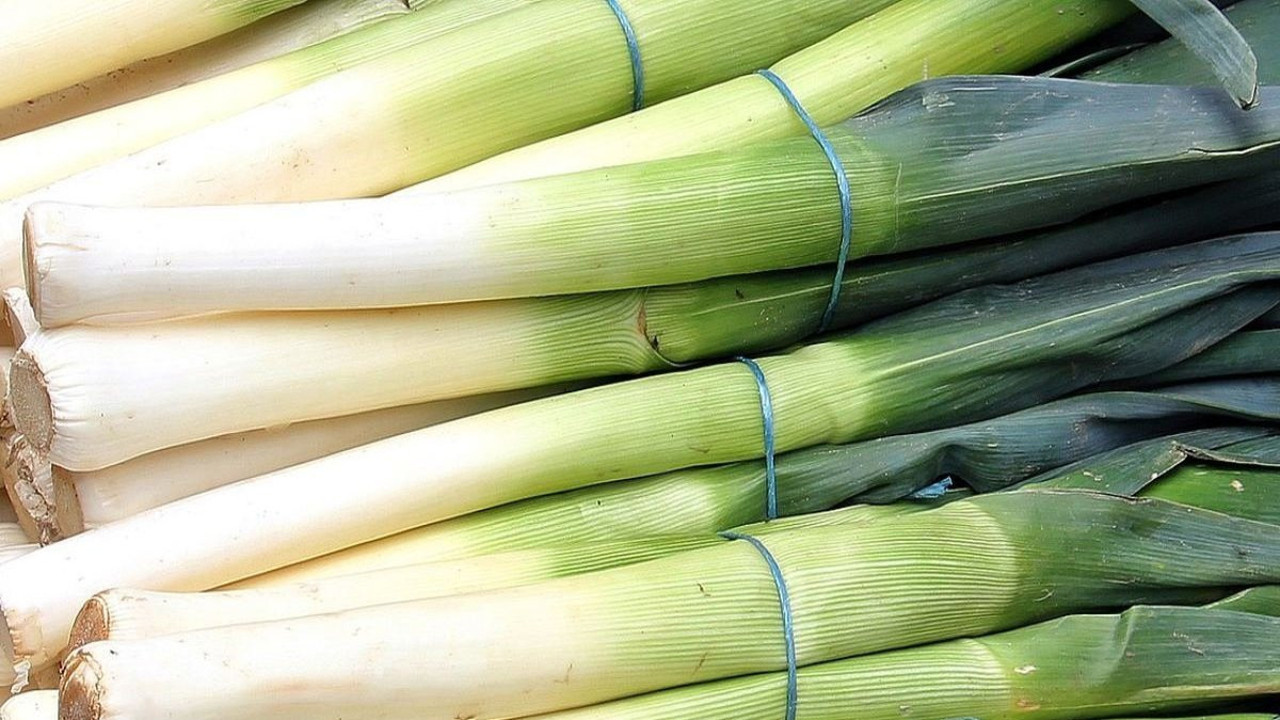 Pırasa yerken bir kez daha düşünün