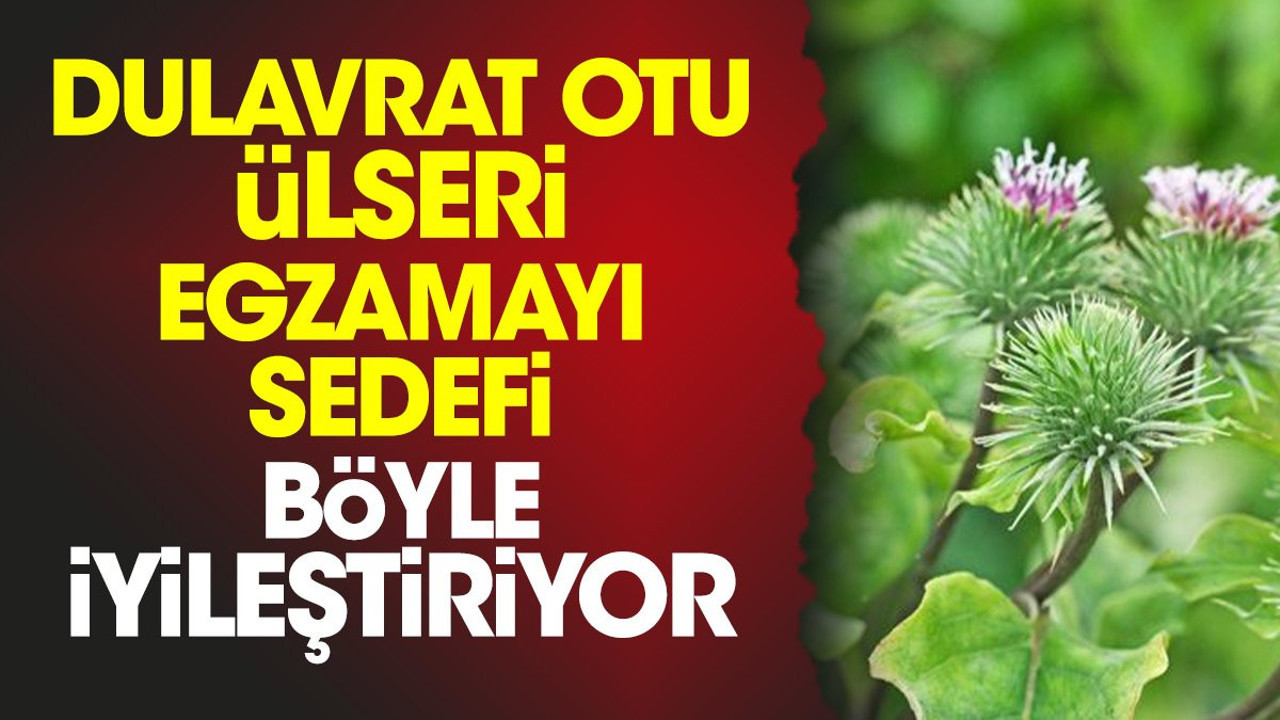 Dulavrat otu ülseri egzamayı sedefi böyle iyileştiriyor