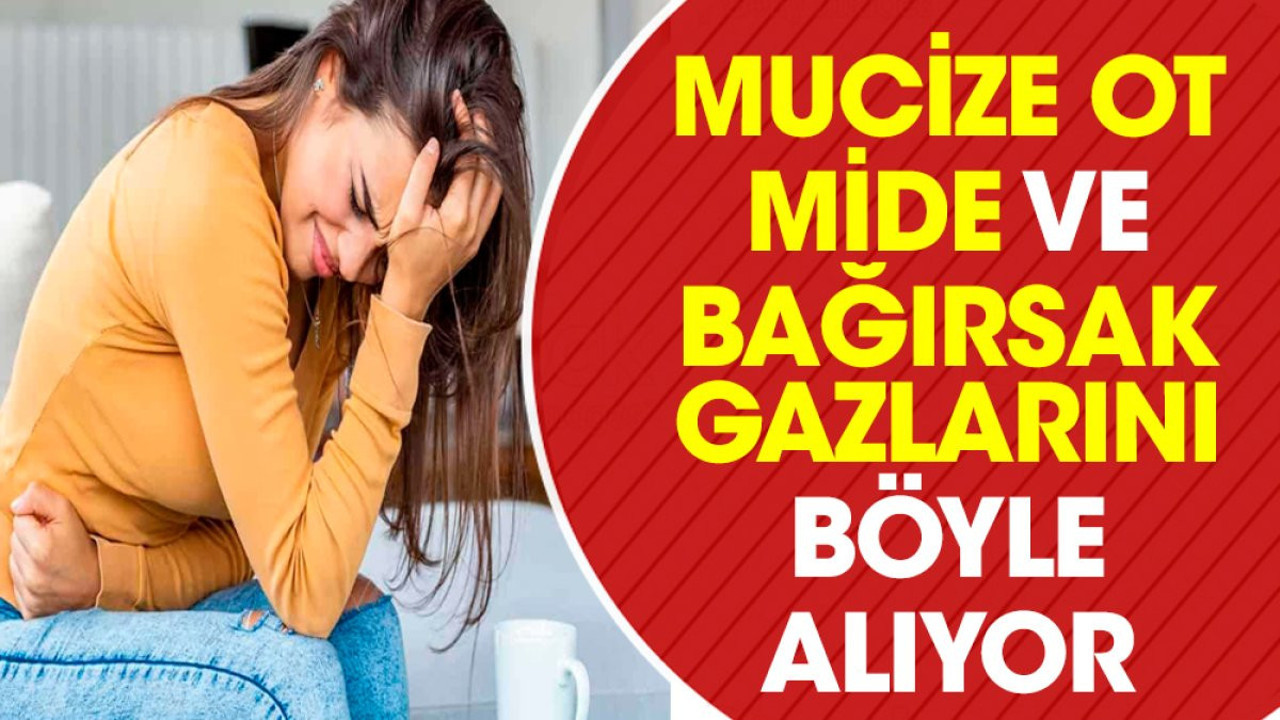 Mucize ot mide ve bağırsak gazlarını böyle alıyor