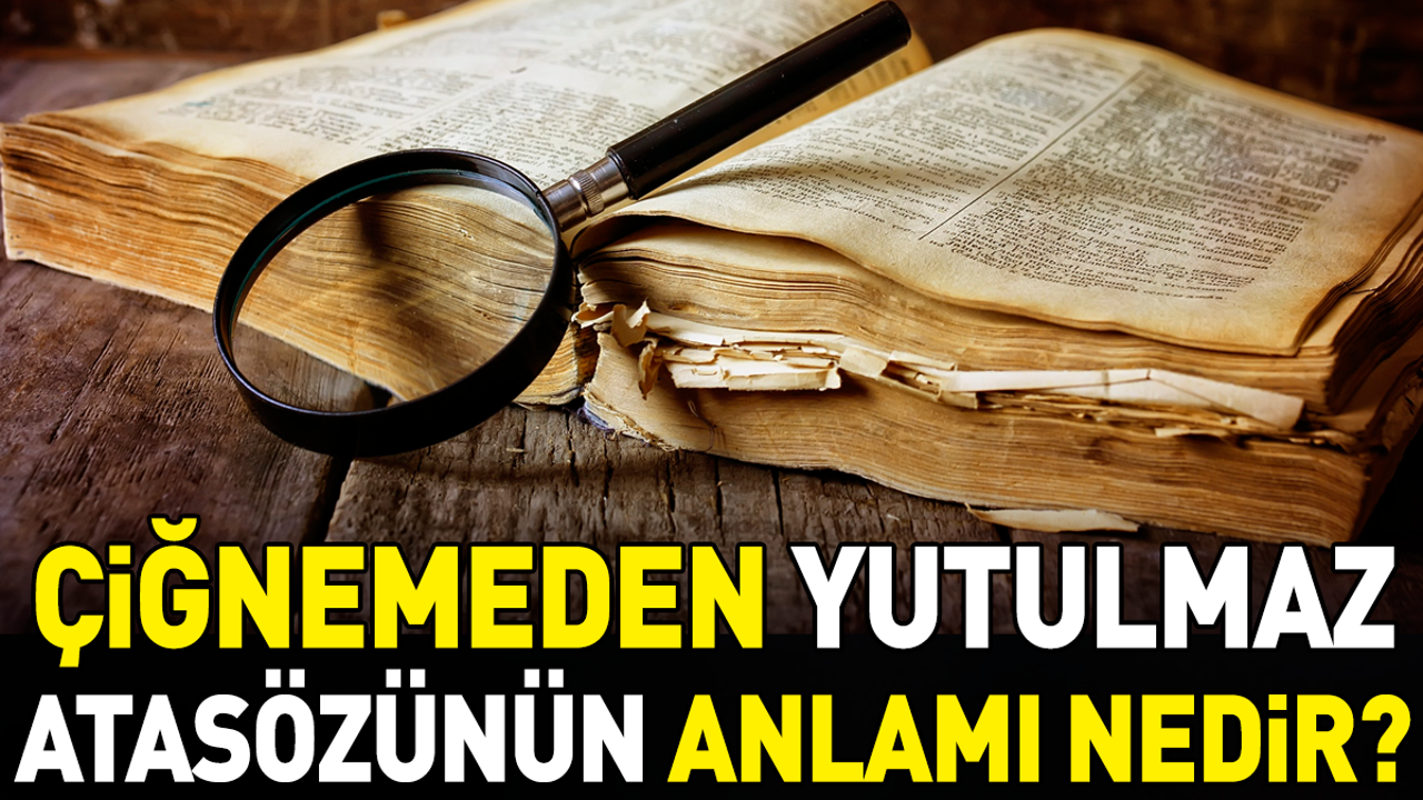 Çiğnemeden yutulmaz atasözünün anlamı nedir?