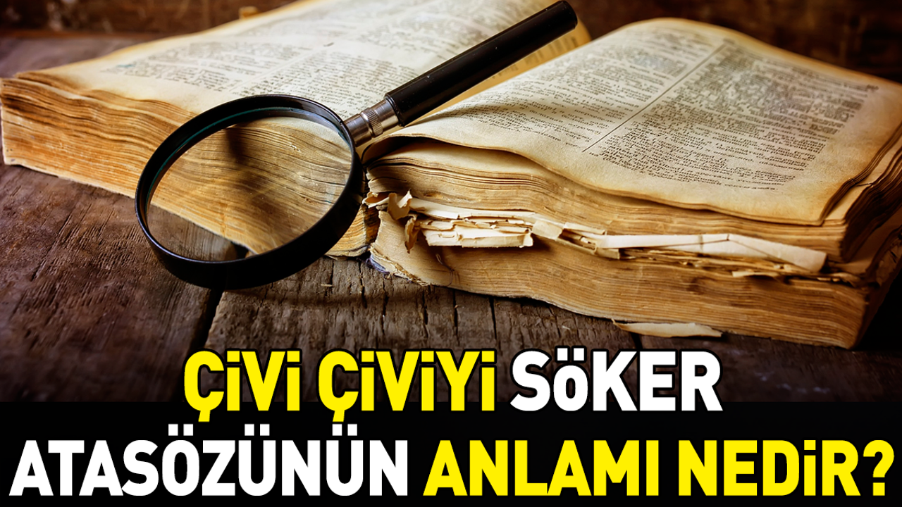 Çivi çiviyi söker atasözünün anlamı nedir?