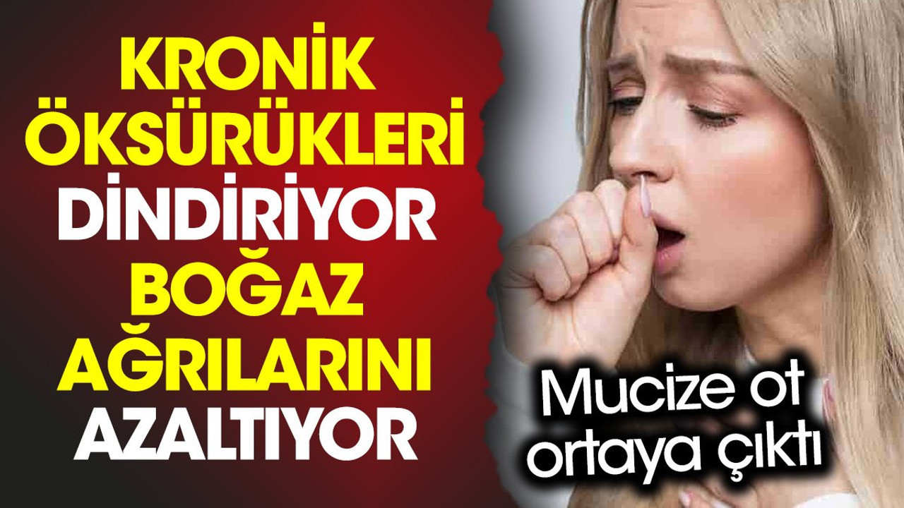 Kronik öksürükleri dindiriyor. Boğaz ağrılarını azaltıyor. Mucize ot ortaya çıktı