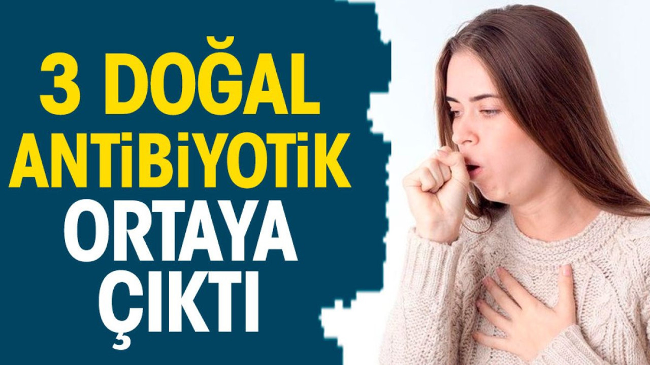 3 doğal antibiyotik ortaya çıktı