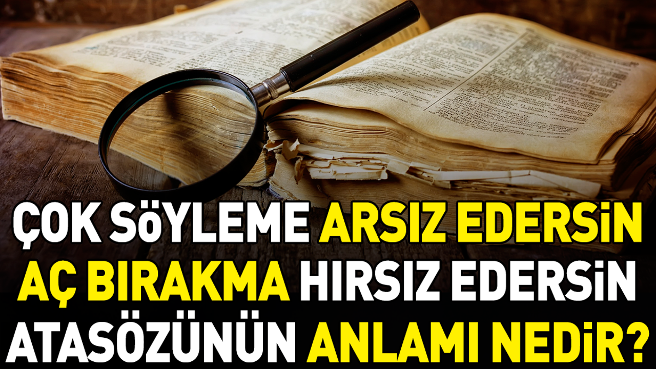 Çok söyleme arsız edersin aç bırakma hırsız edersin atasözünün anlamı nedir?