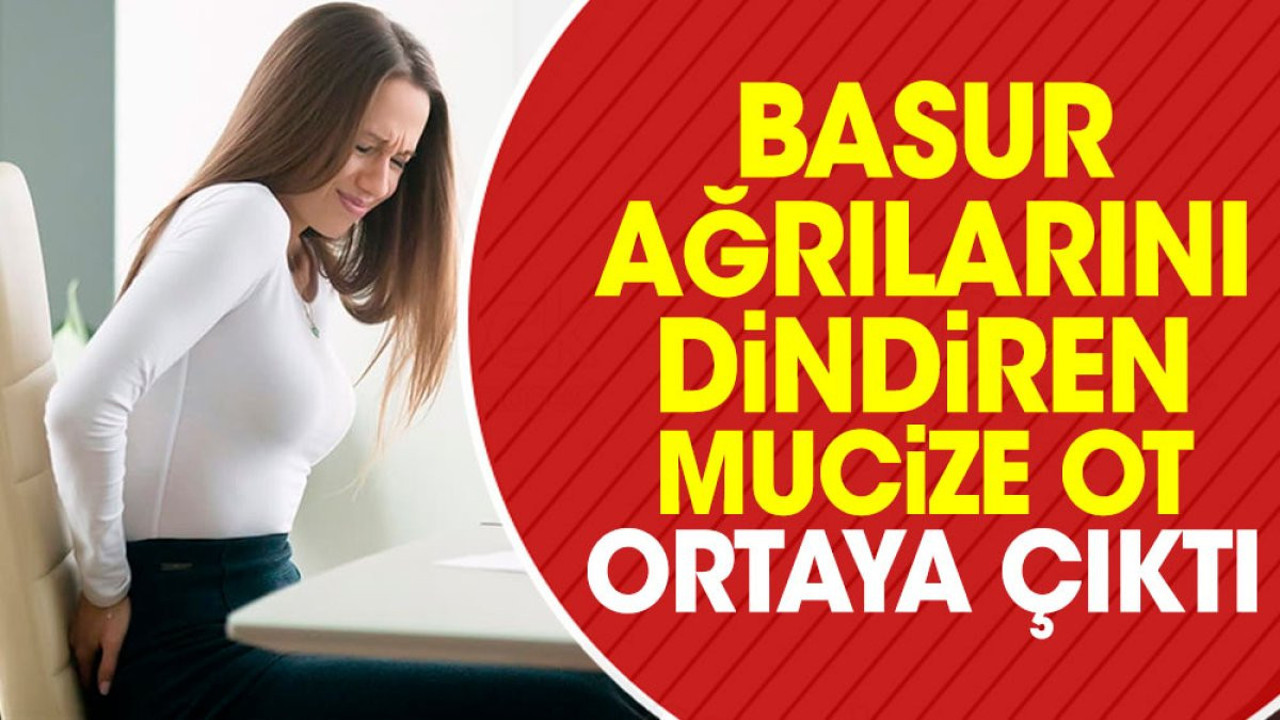 Basur ağrılarını dindiren mucize ot ortaya çıktı