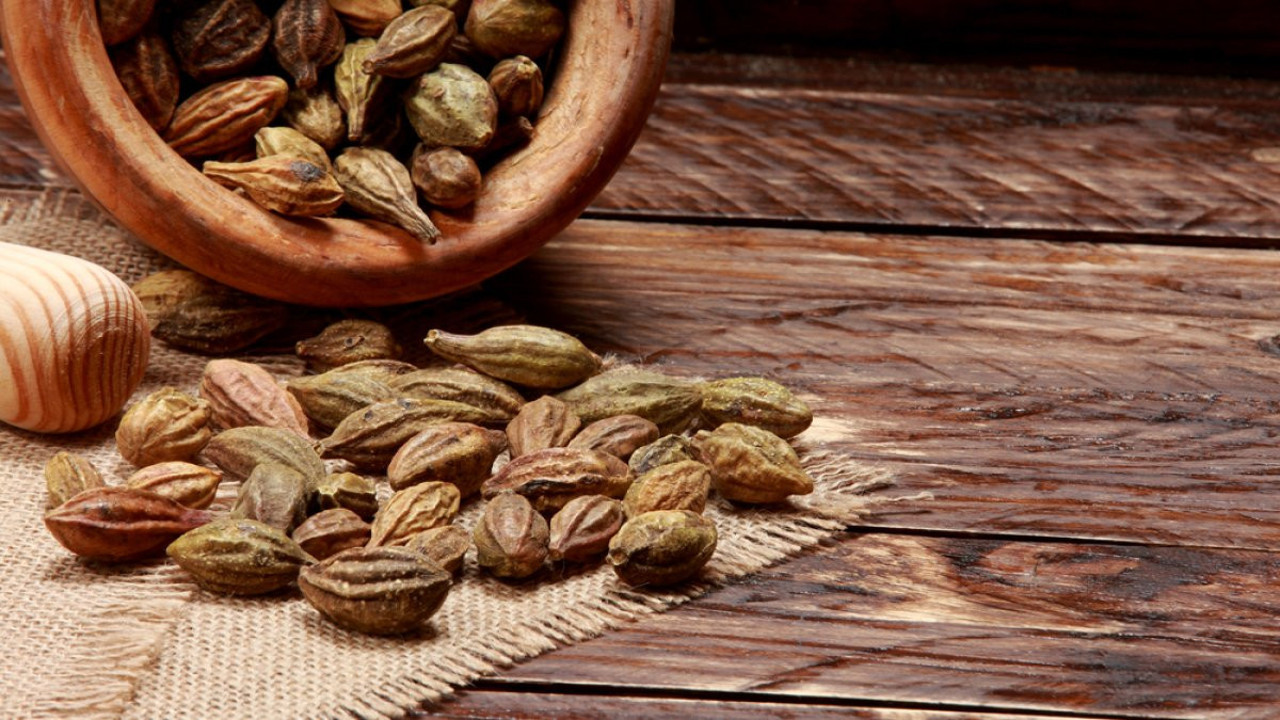 Kara Halile otunun az bilinen yararları