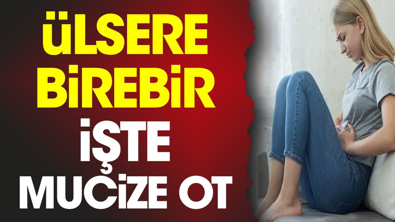 Ülsere birebir. İşte mucize ot