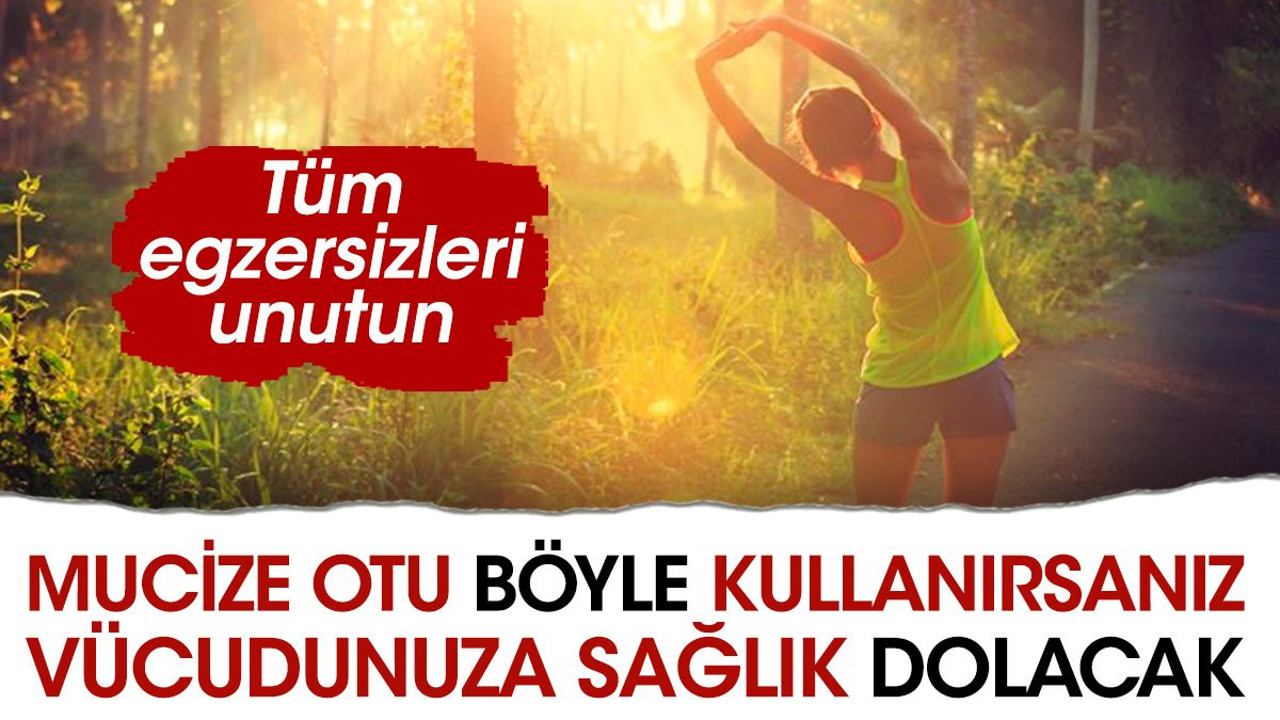 Mucize otu böyle kullanırsanız vücudunuza sağlık dolacak. Tüm egzersizleri unutun