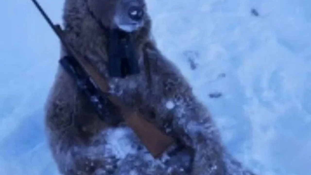 Kaçak avcılara rekor ceza. Sosyal medyada büyük tepki çekmişti