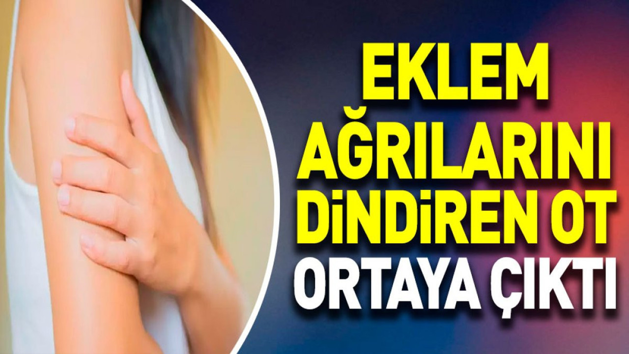 Eklem ağrılarını dindiren ot ortaya çıktı