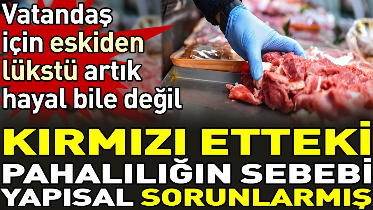 Kırmızı etteki pahalılığın sebebi yapısal sorunlarmış. Vatandaş için eskiden lükstü artık hayal bile değil
