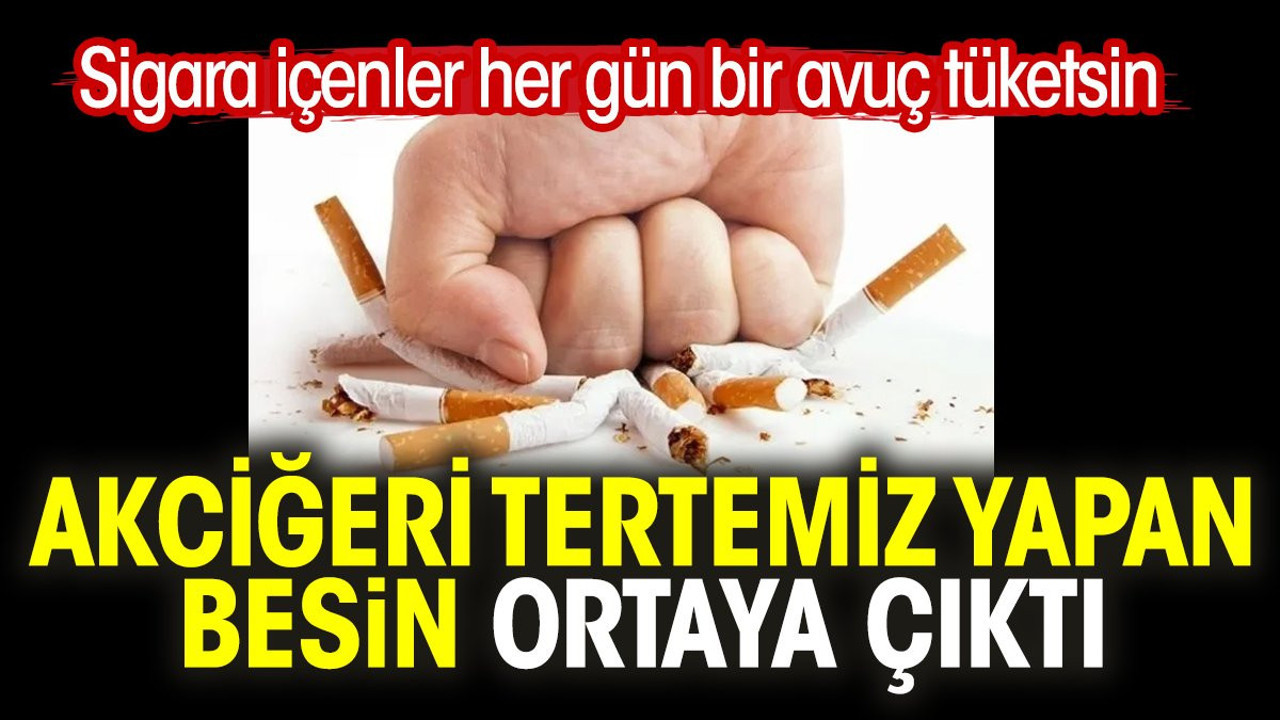 Akciğeri tertemiz yapan besin ortaya çıktı. Sigara içenler her gün bir avuç tüketsin